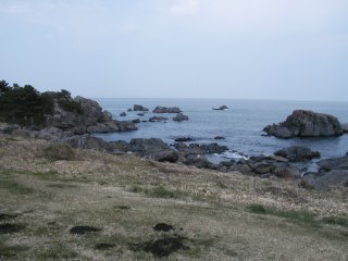 Tanesasi.jpg